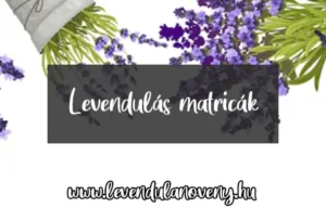 levendulás matricák