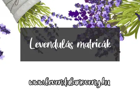 levendulás matricák
