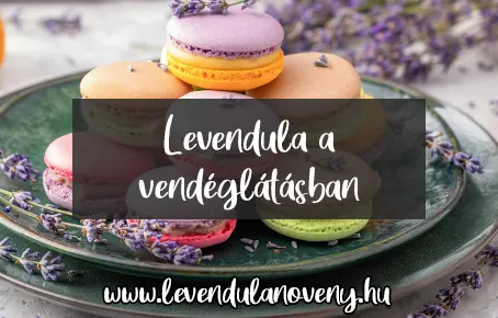 okoskertészkedés levendula a vendéglátásban